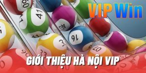 Hà Nội Vip